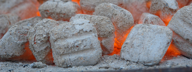 Biomass Briquettes as a New Energy Source for the Industry