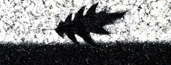 Invest in a Bitumen Emulsion Manufacturing Project in India Bitumen - Manufacturing Investment Opportunity in India