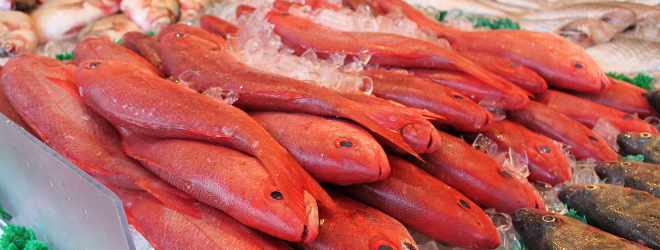Fish Trading Start-Up Raising Funds to Expand across Kenya Fish Trading Start-Up Raising Funds to Expand across Kenya