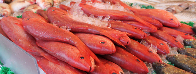 Fish Trading Start-Up Raising Funds to Expand across Kenya