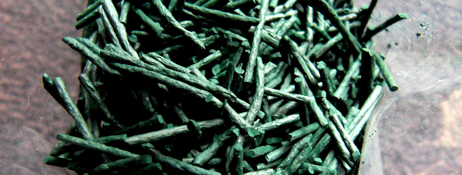 Invest in a Spirulina - Blue Green Algae - Manufacturing Unit 