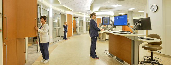 Management Consultancy in the US Healthcare Sector Seeks Expansion US Medical Service Providers Consultancy