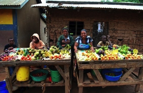 Agriculture and production college in Zambia