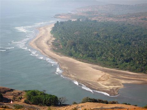 Beach Resort Investment Project in Konkan, India Picture of the beach