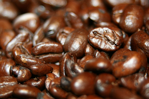 Coffee Factory in Ukraine for Sale Coffee Beans