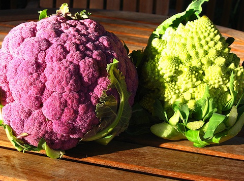 Organic Green House Based Horticulture Production and Marketing Organic farm for exotic vegetables seeks for investors