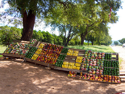 Investment in an Innovative Food Preservation Product Stand with fruits on the road