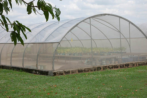 Greenhouse Farm