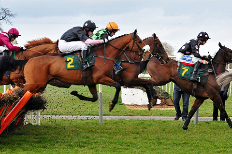 Equestrians on Racing Horses