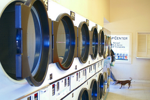 Washing Machines in a Laundromat