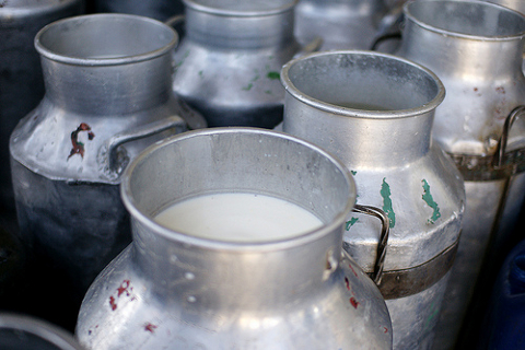 Dairy Farming Investment Project from India Jars with Milk