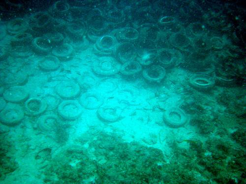 Tyres covering the artificial Osborne Reef