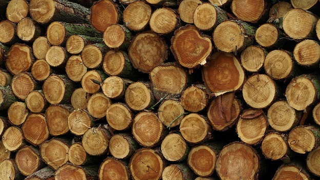 Investment in Timber Exploitation, Processing and Transport Timber Logs