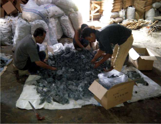 Investor for white charcoal producing in Semarang, Indonesia.